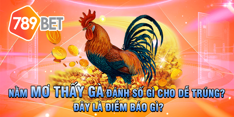 789bet - Nằm mơ thấy gà đánh số gì